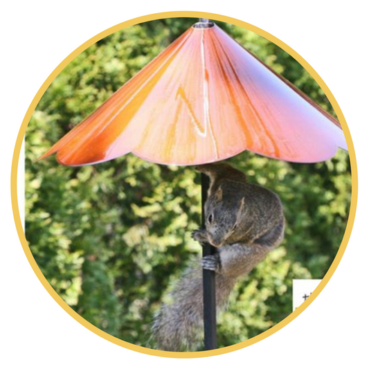 Erva Pole System with Squirrel Baffle