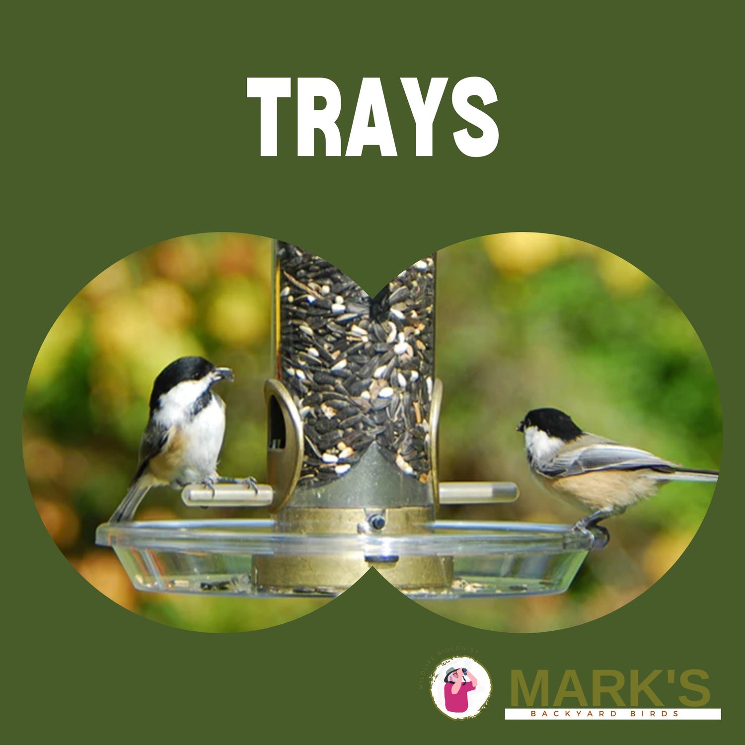 Trays