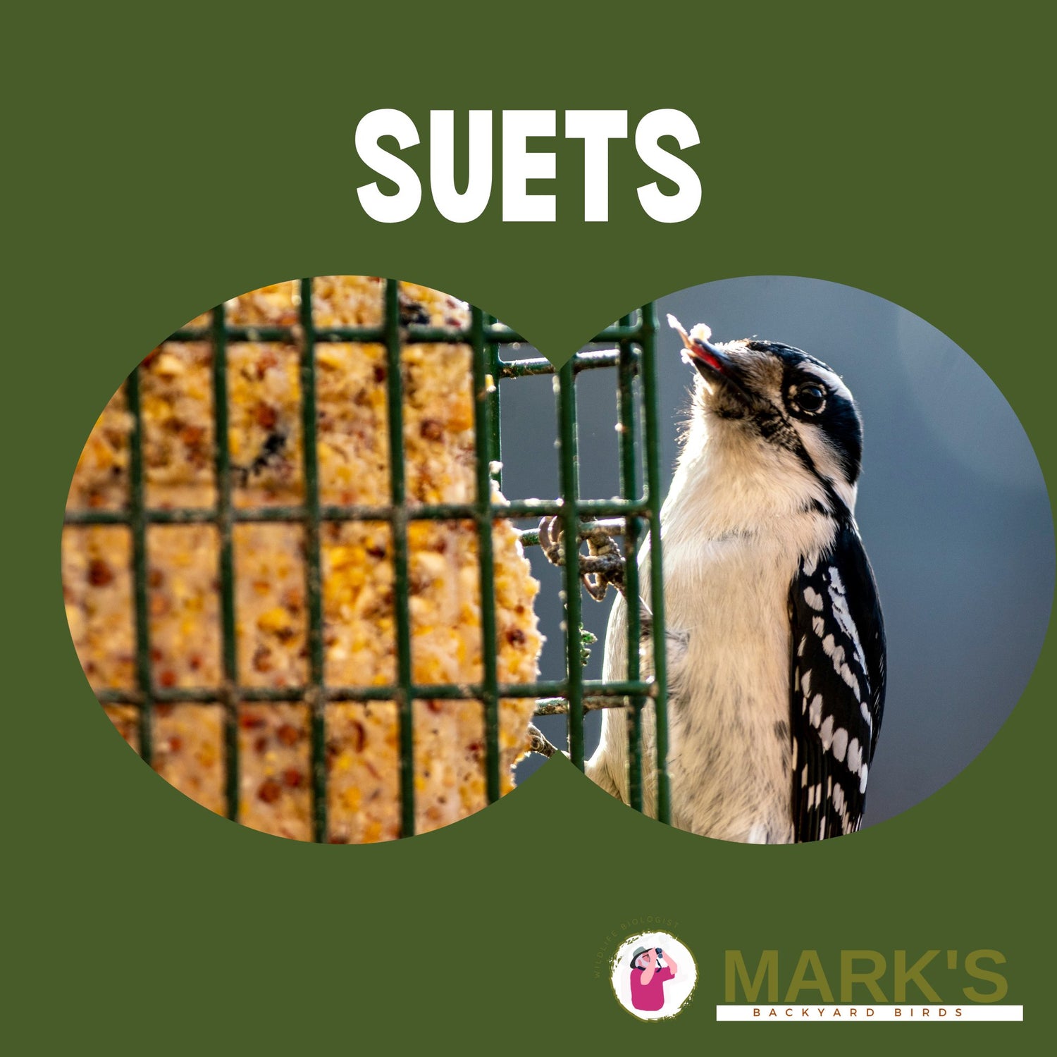 Suets