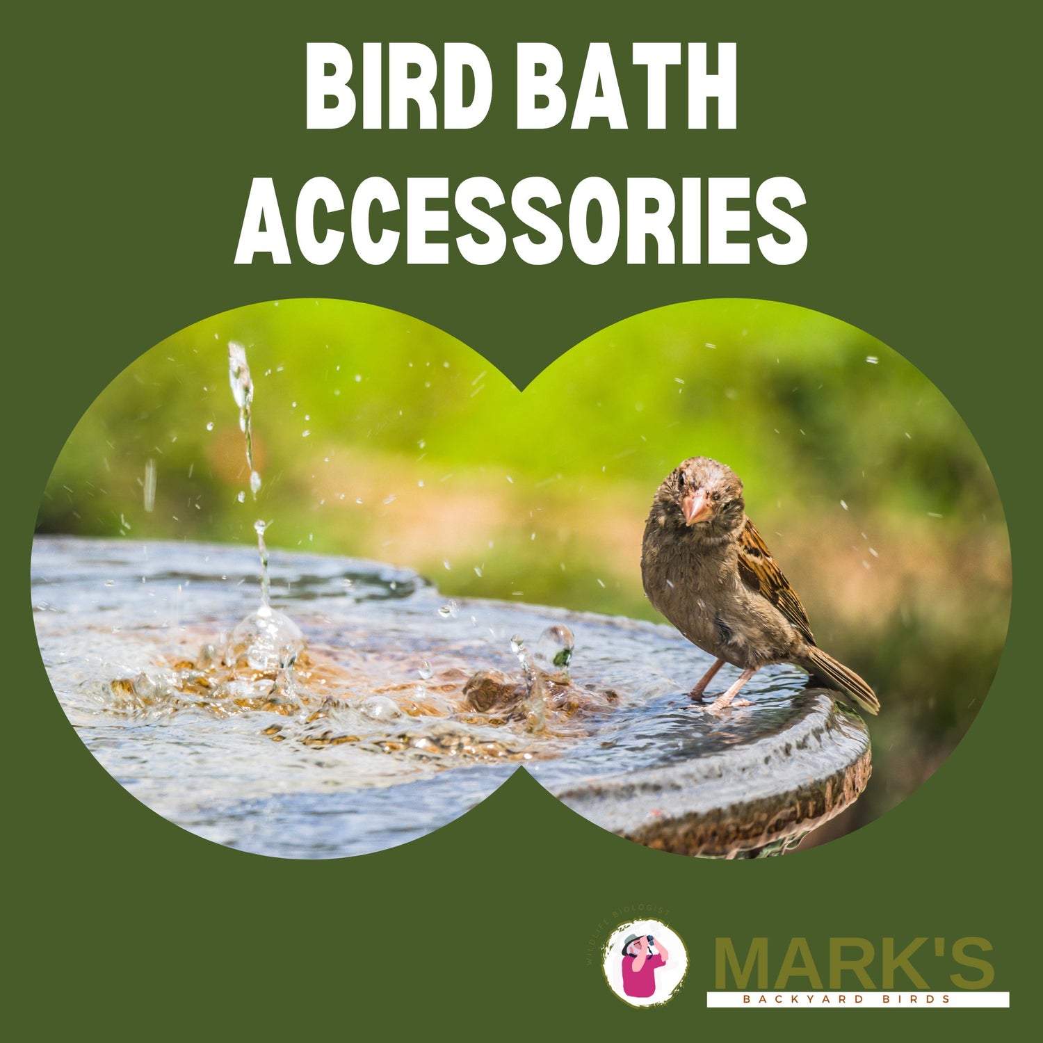 Bird Bath Accessories