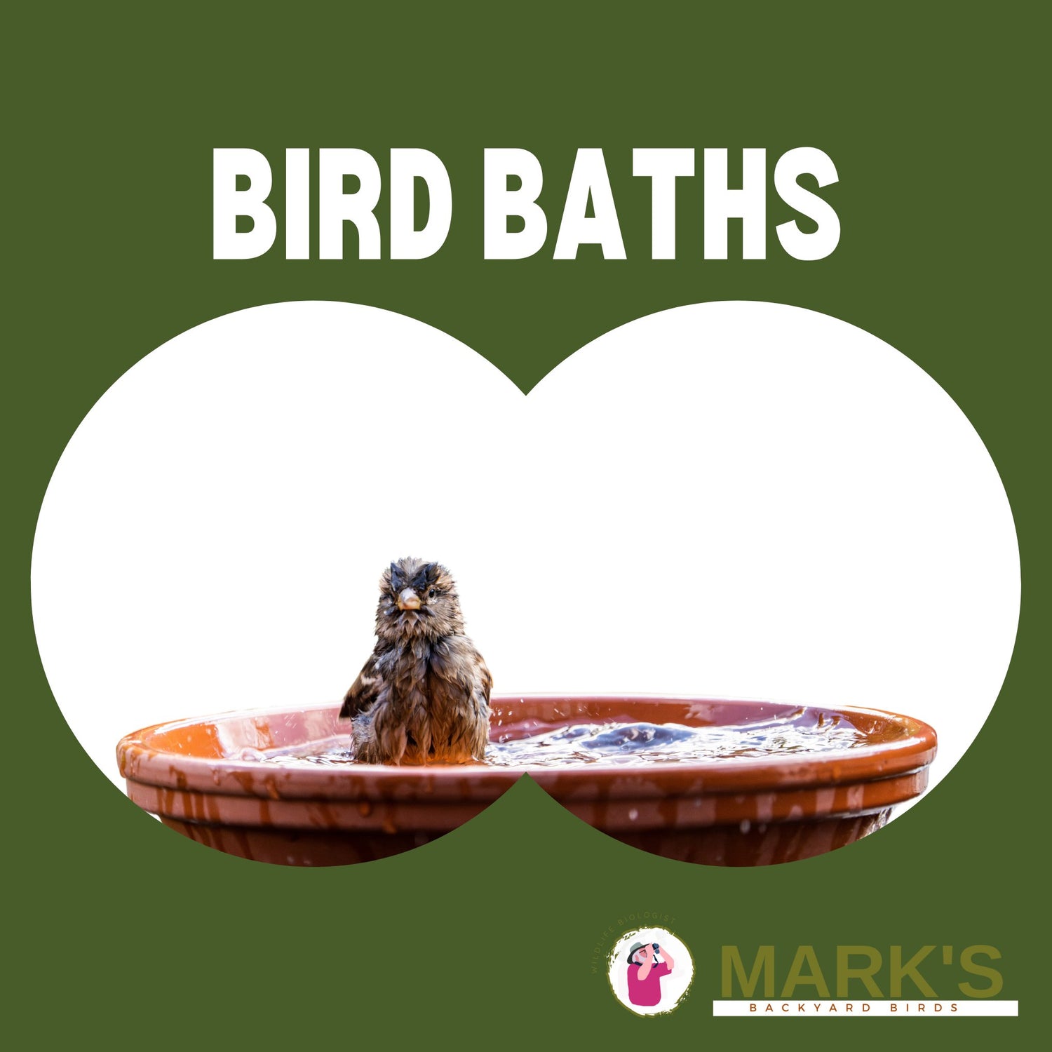Green Headed Bird Bath on deck railing with cardinals and bluebirds