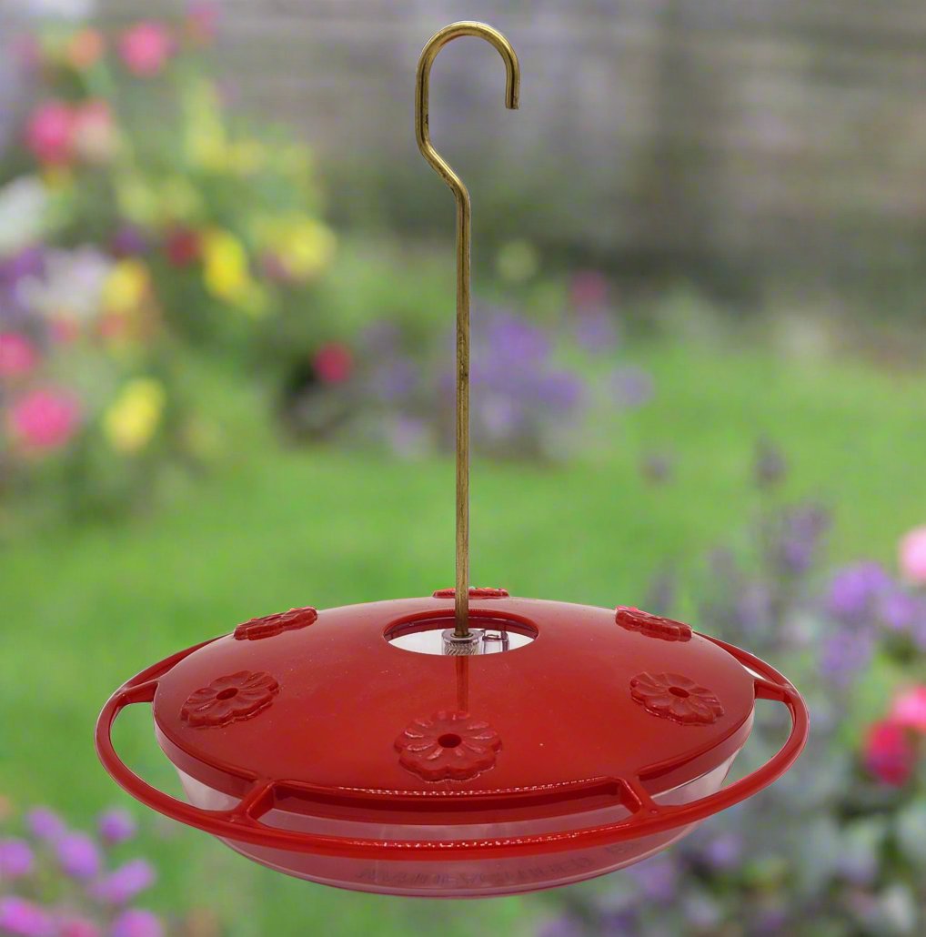 Saucer type Humming bird feeder. Red lid with clear dish