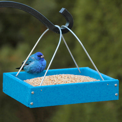 32327/24407 Going Green Small Platform Feeder Blue
