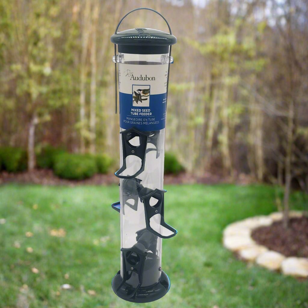 Clear tube feeder with green plastic lid, base and six ports