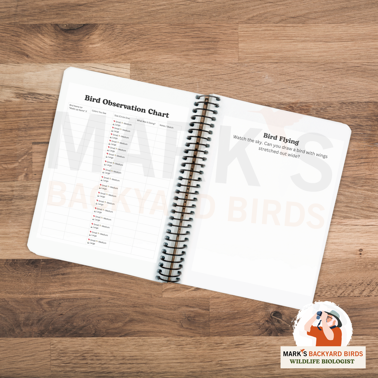 Young Birder's First Field Journal (Grades 2–6) – Printable Birdwatching Activity Book with Tips, Puzzles, Science & Drawing Fun