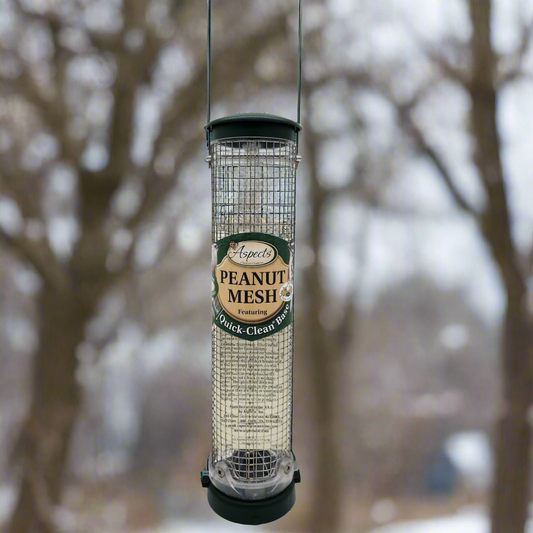 Mesh feeder with green top and base