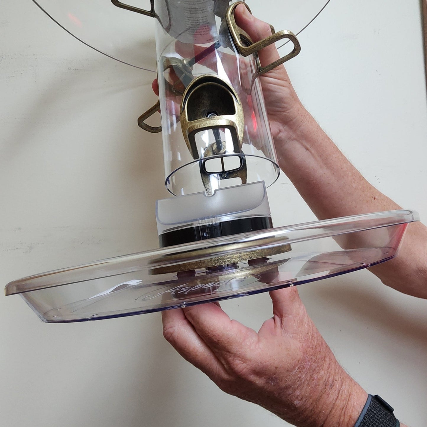 Clear tray being removed from a tube feeder with brass ports