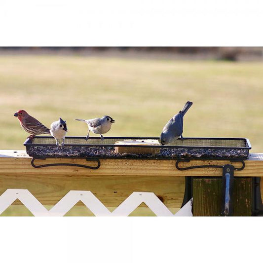 black wire mesh deck mounted feeder with 4 birds