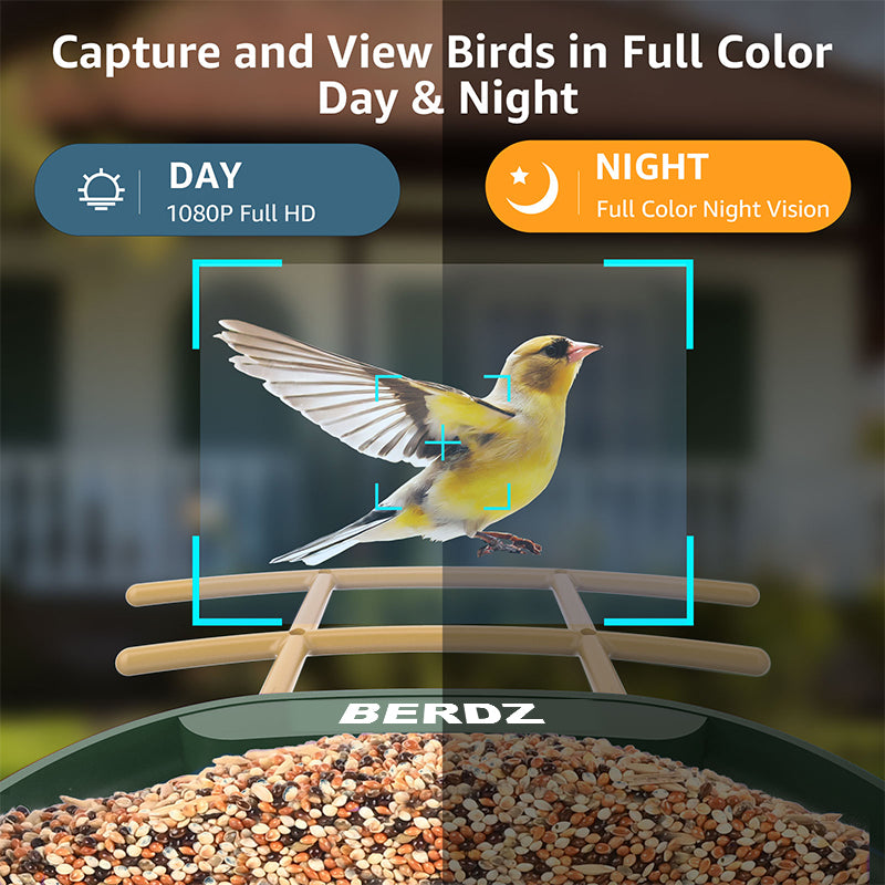 Smart Bird Feeder with Wireless Outdoor Camera, Auto Capture & Motion Detection