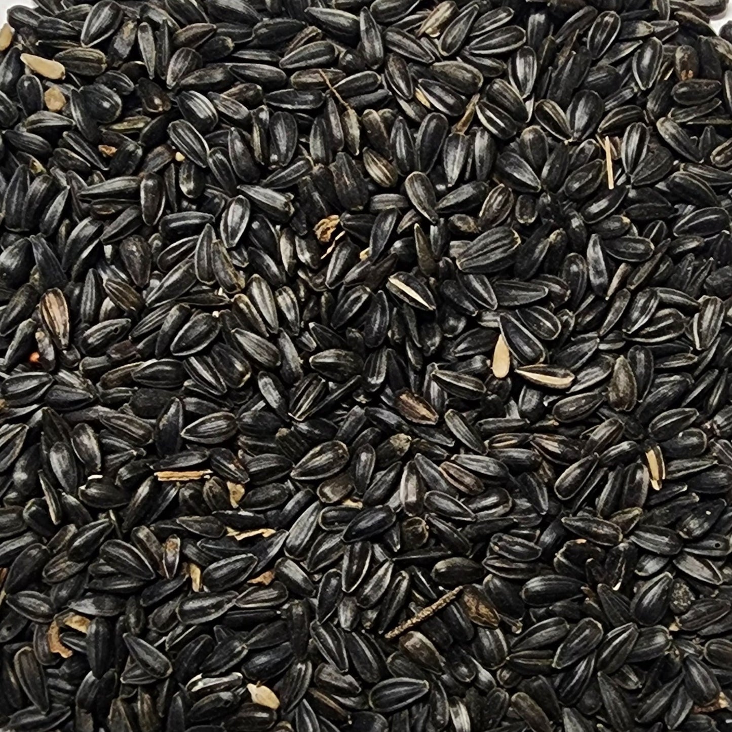 black sunflower seeds