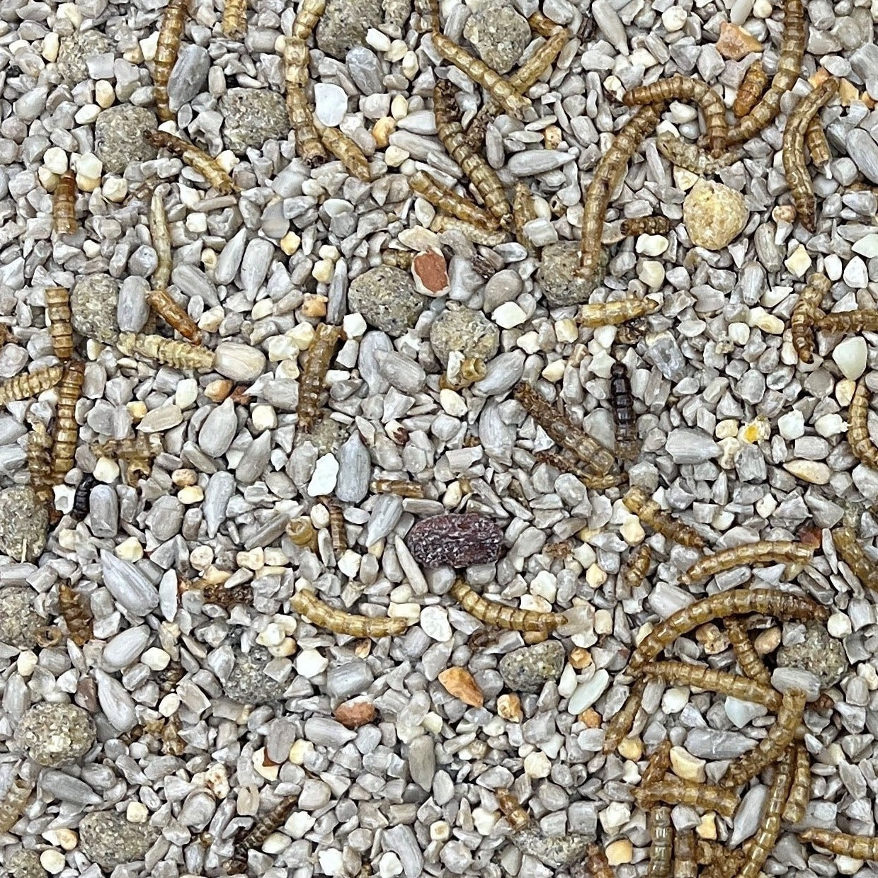 bird seed mix with mealworms