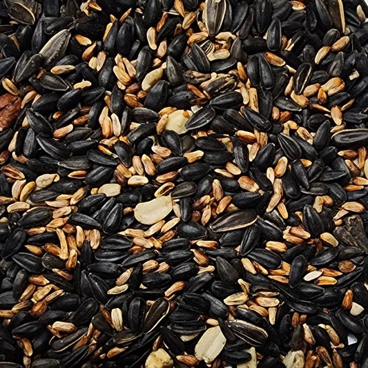 mixed bird seed