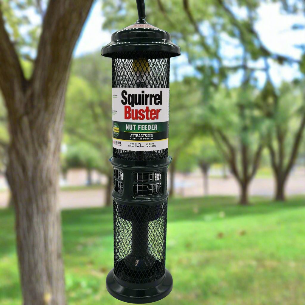 Squirrel Buster® Peanut