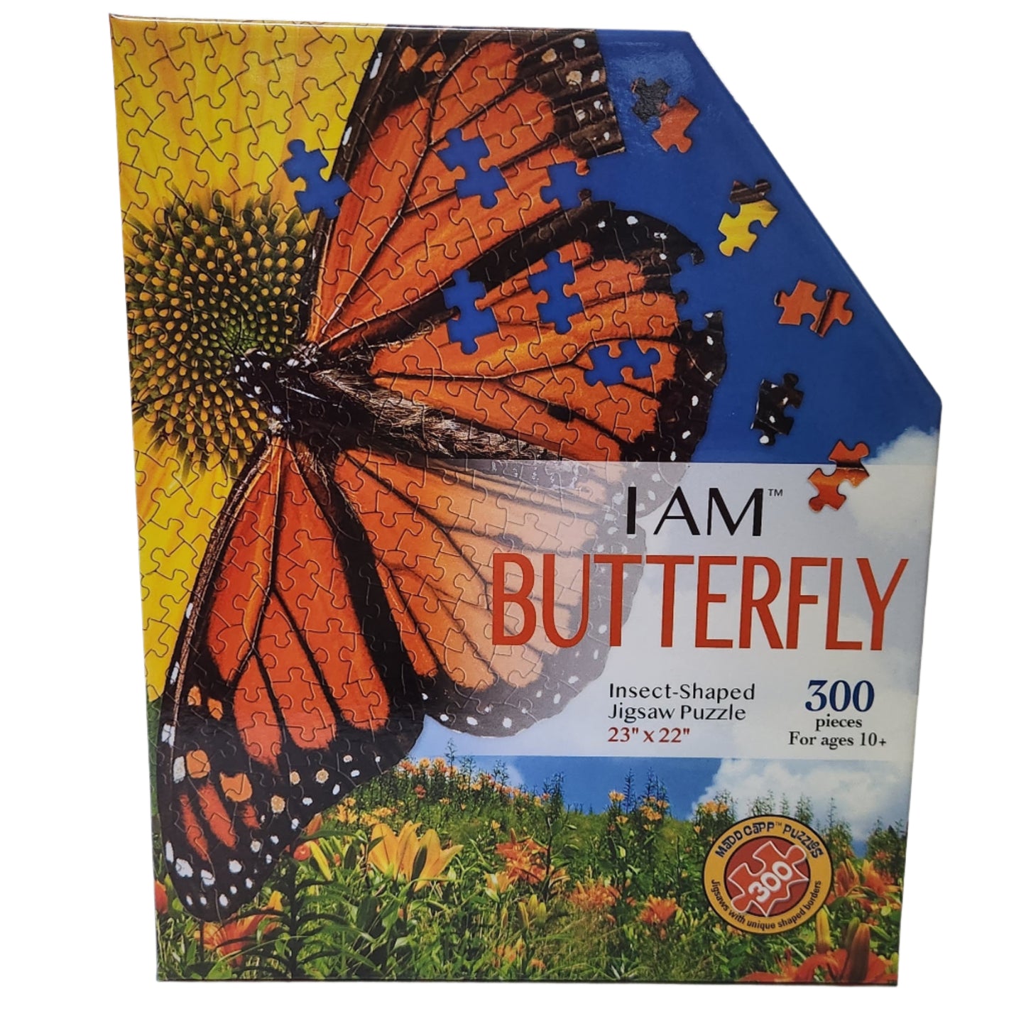 Box with Monarch and yellow flower with I am Butterfly