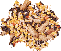 Mixed Bird Seed, corn, sunflower, peanuts
