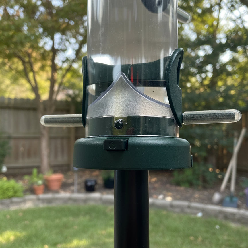 close up of clear tube feeder on black pole