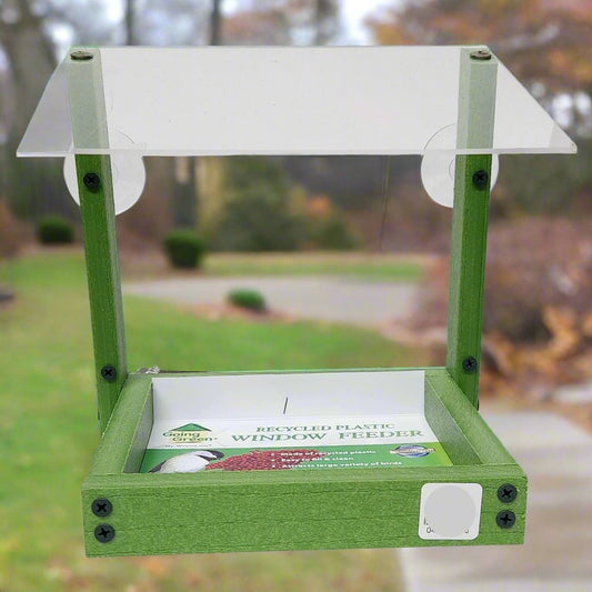 Green square tray with clear roof and suction cups