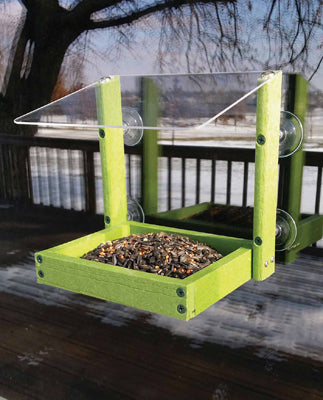Green open tray attached to window