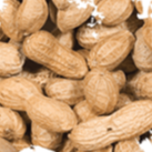 In-shell Peanuts