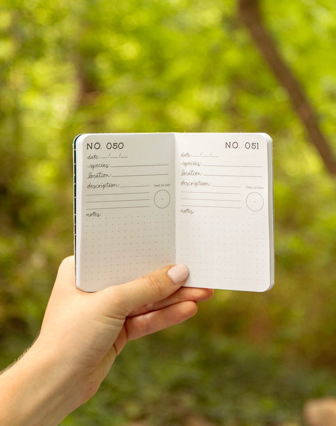 Two small notebooks held open by a hand with a blurred green outdoor background