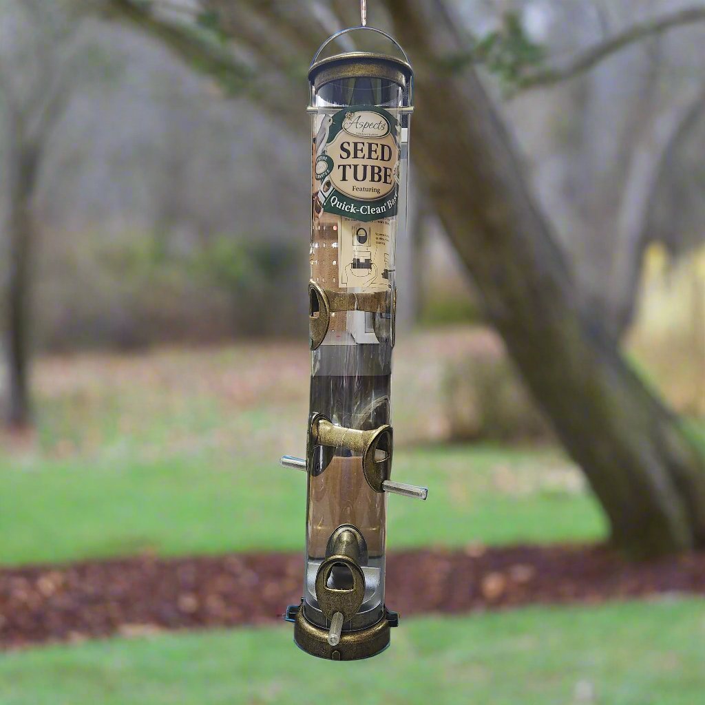 clear seed tue with antique brass top, base and 6 ports