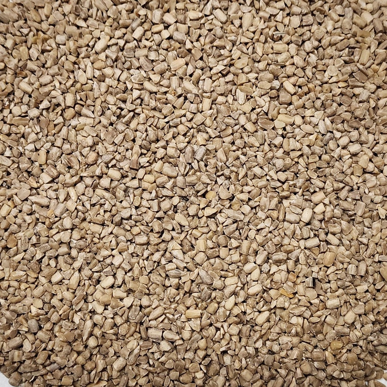 Sunflower Kernels