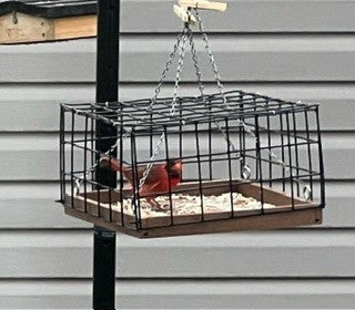 Dove Guard for 9"x 17" Ground Tray