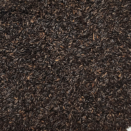 black nyjer seeds