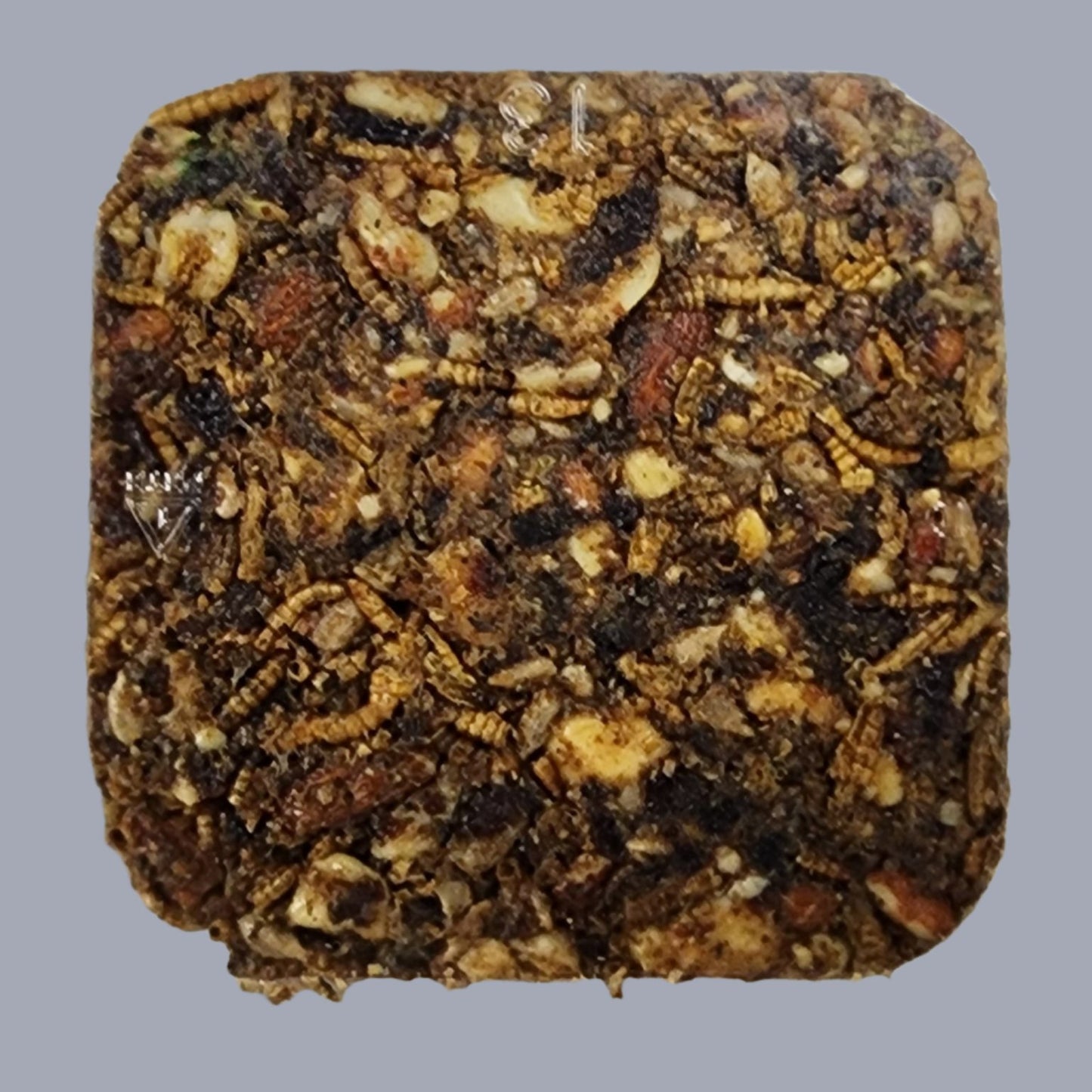 Block of bird seed, mealworms and nuts