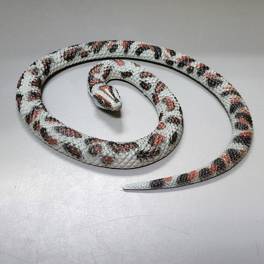 gray rubber snale with red and black spots