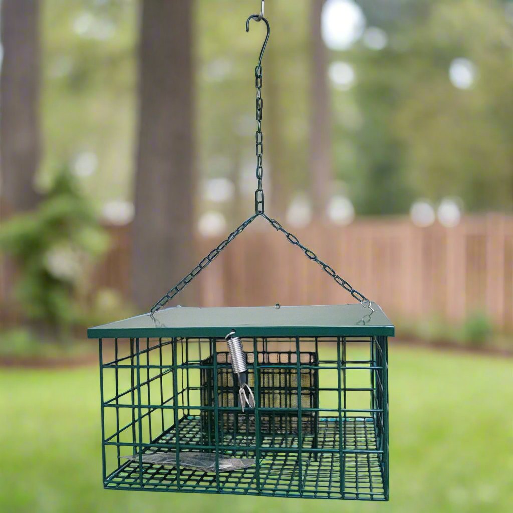 Green wire square cage with chain hanger