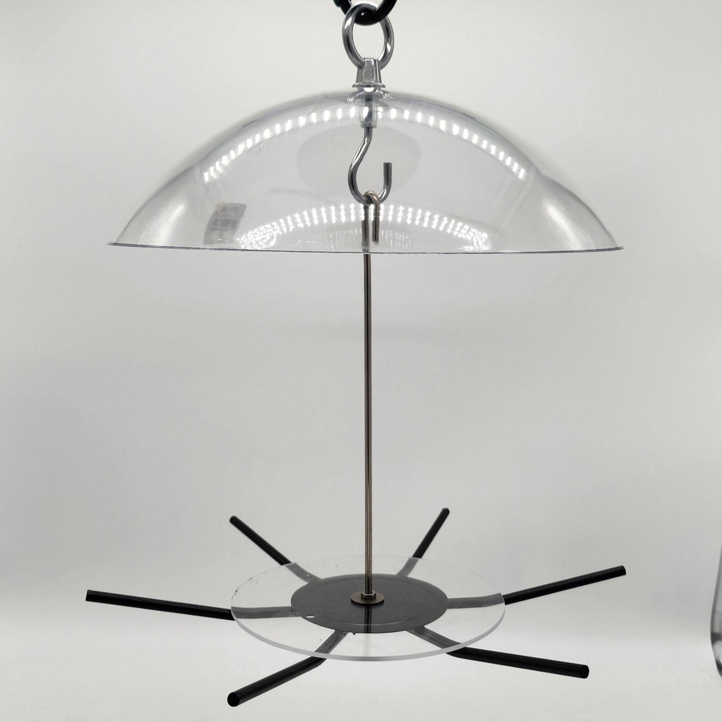 Clear dome with black perches