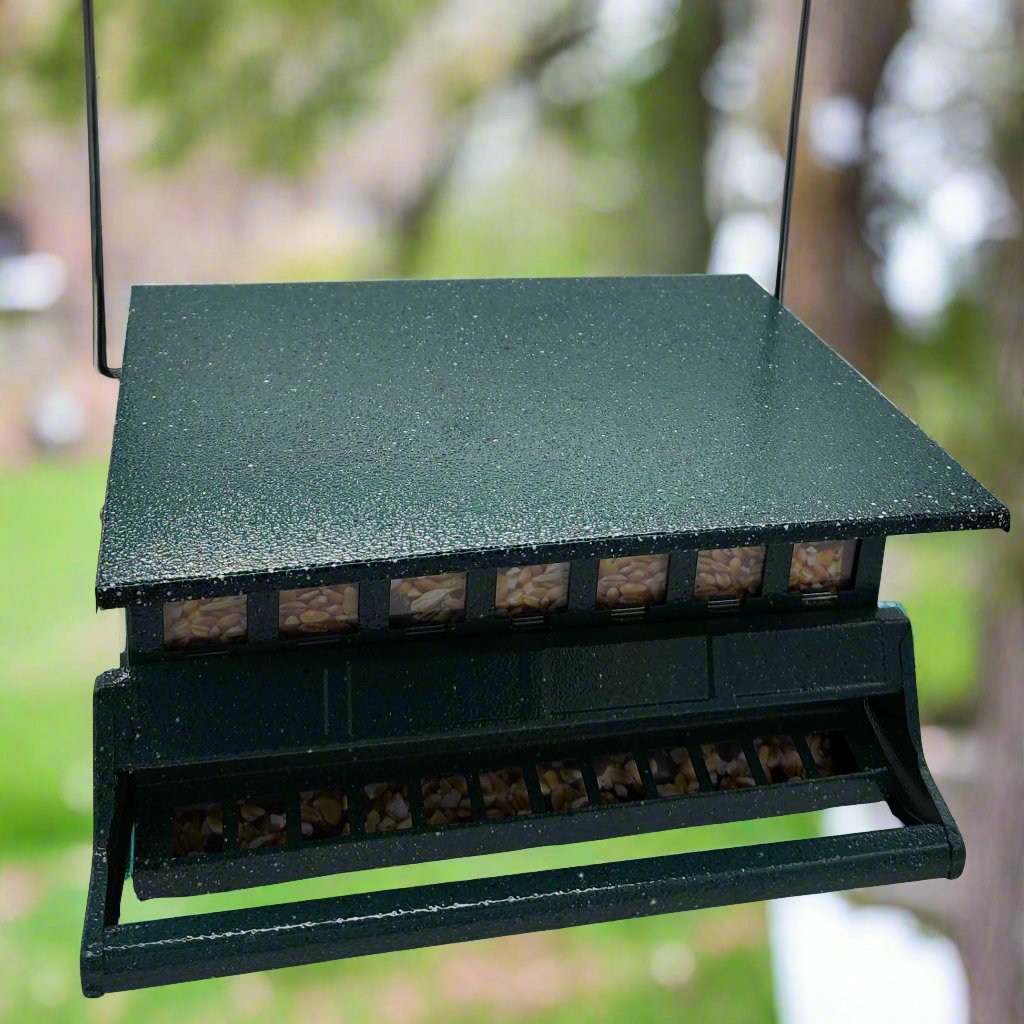 Green bird feeder with steel hanger