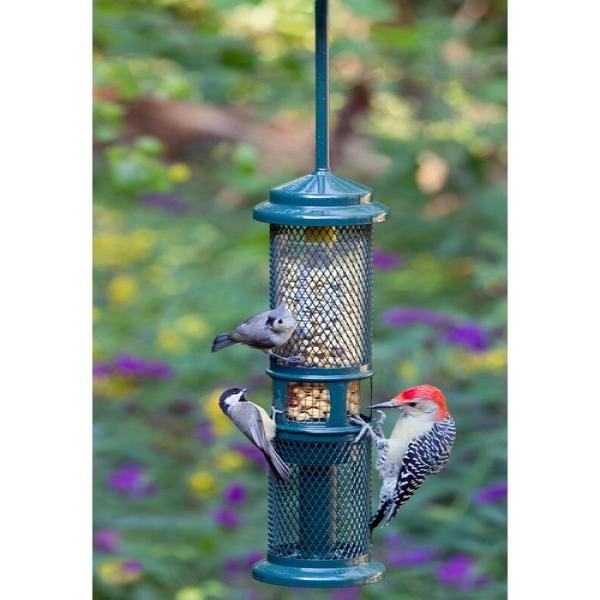 green bird feeder with three birds