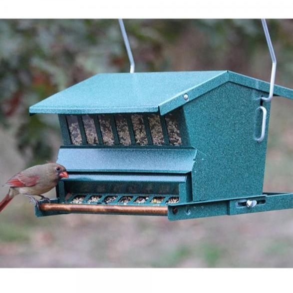 Green hanging bird feeder with female cardinal