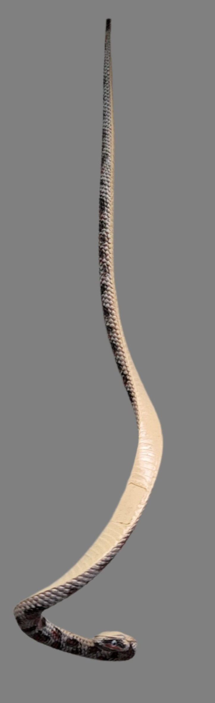 rubber snake with tan belly