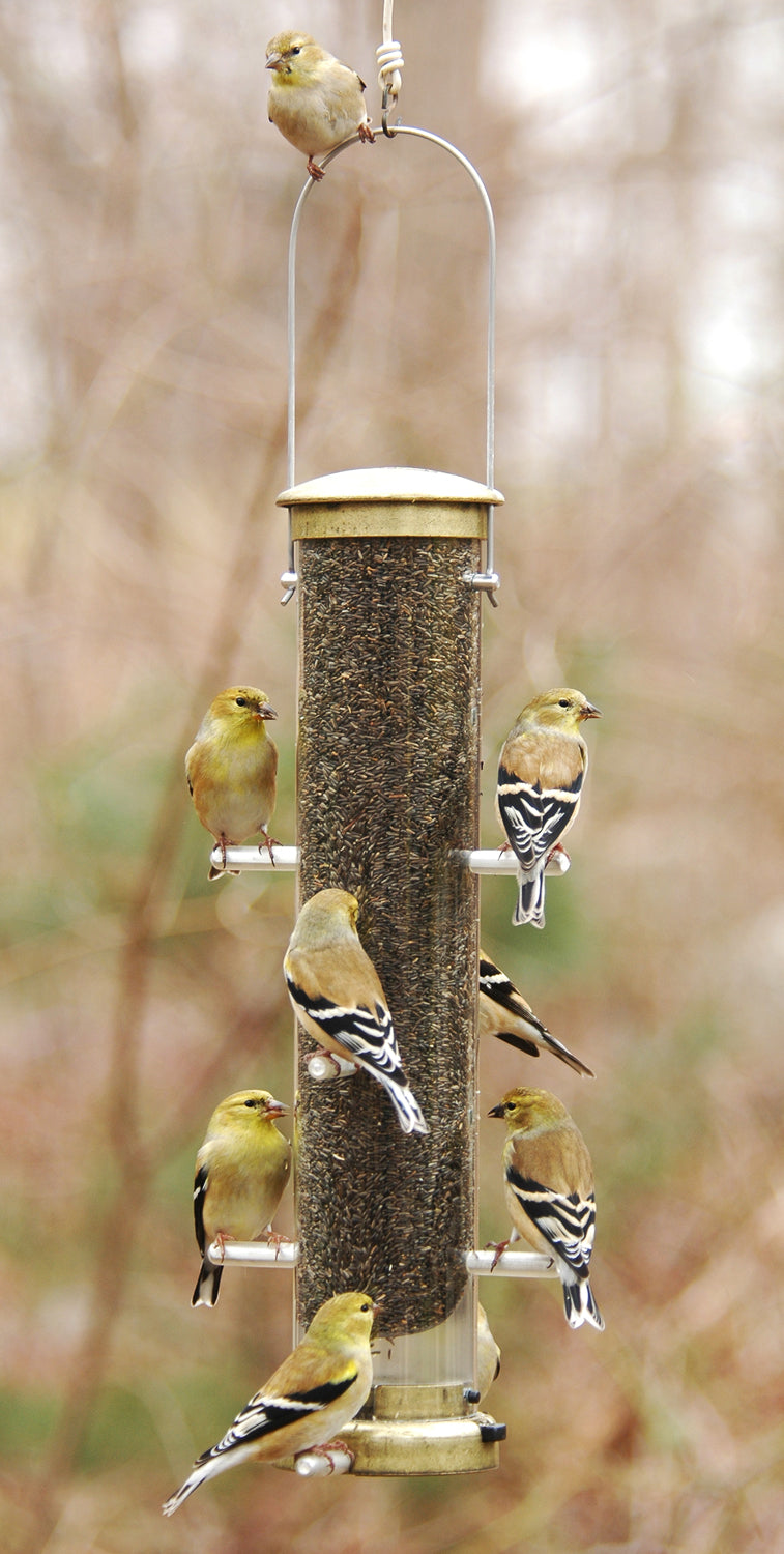 Aspects Medium Antique Brass Nyjer (Finch) Feeder
