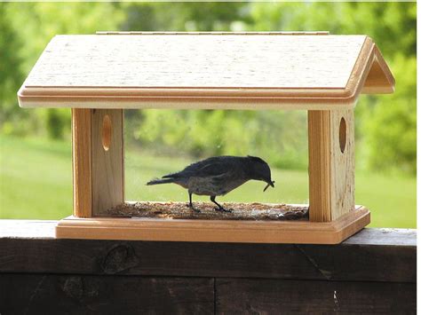 Cedar Bluebird Feeder