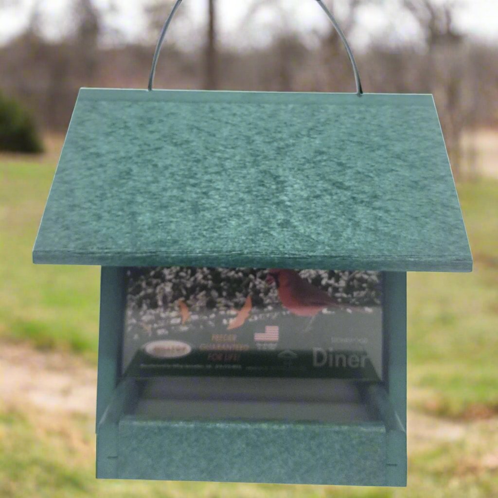 Green colored bird feeder with silver screen base