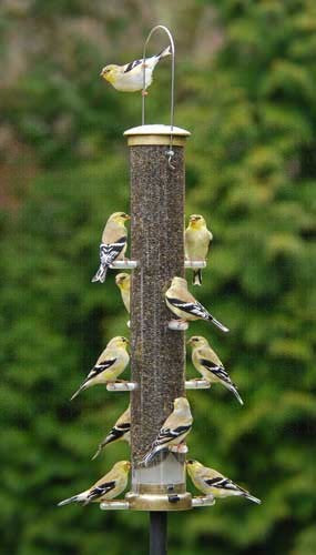 Aspects Large Antique Brass Nyjer (Finch) Feeder