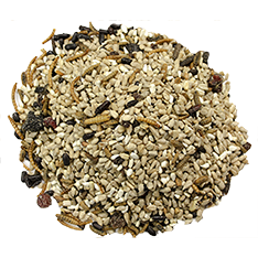 Bugs N' Berries Seed Spill