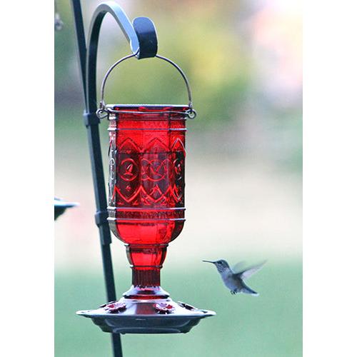 Red glass feeder wiht brass base and flying hummingbird