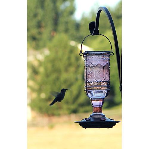purple glass feeder and flying hummingbird