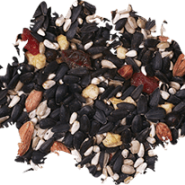 Wild Delight - Fruit N' Berry Seed Spill