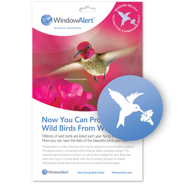 Hummingbird UV sticker pack with hummingbird