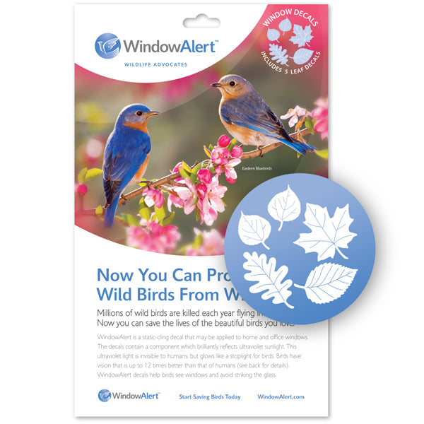 Leaf Medley UV pack with bluebirds