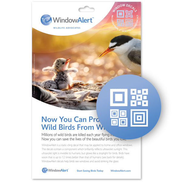 Modern Square UV Sticker pack with Arctic Tern