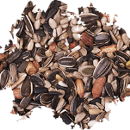 Wild Delight - Nut N' Berry Seed Spill