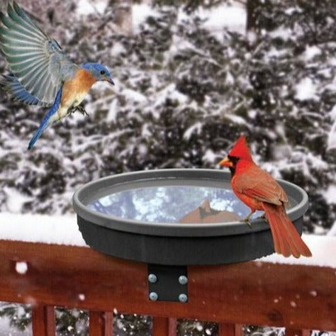 Songbird Spa