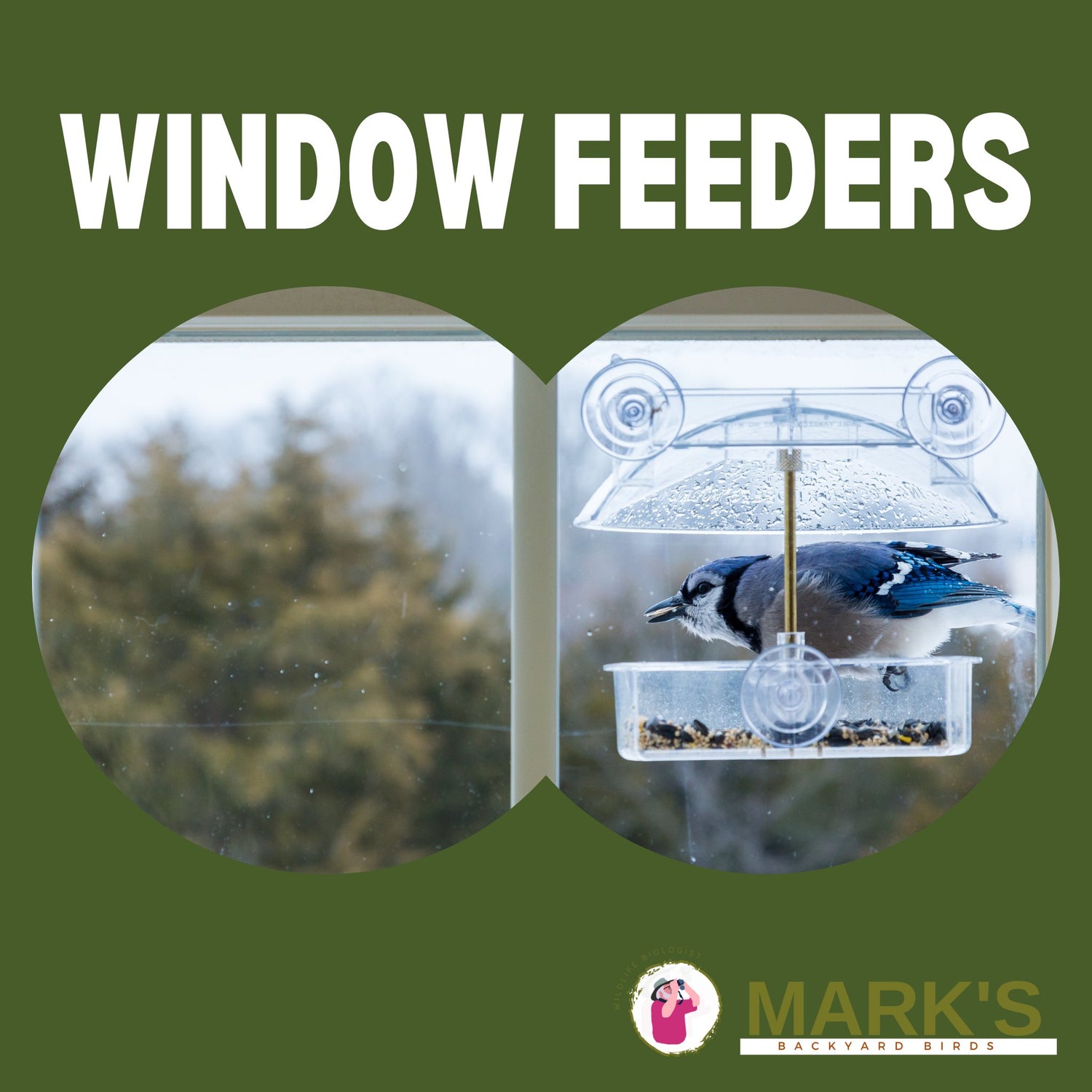 Window Feeders